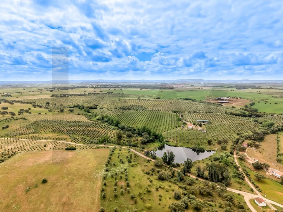 Quinta T4 para Venda em Fronteira Foto 1