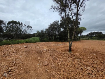 Terreno para Venda em Fatima