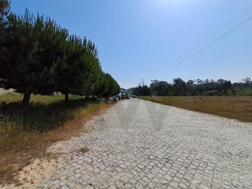 Armazém para Venda em Serzedo e Perosinho