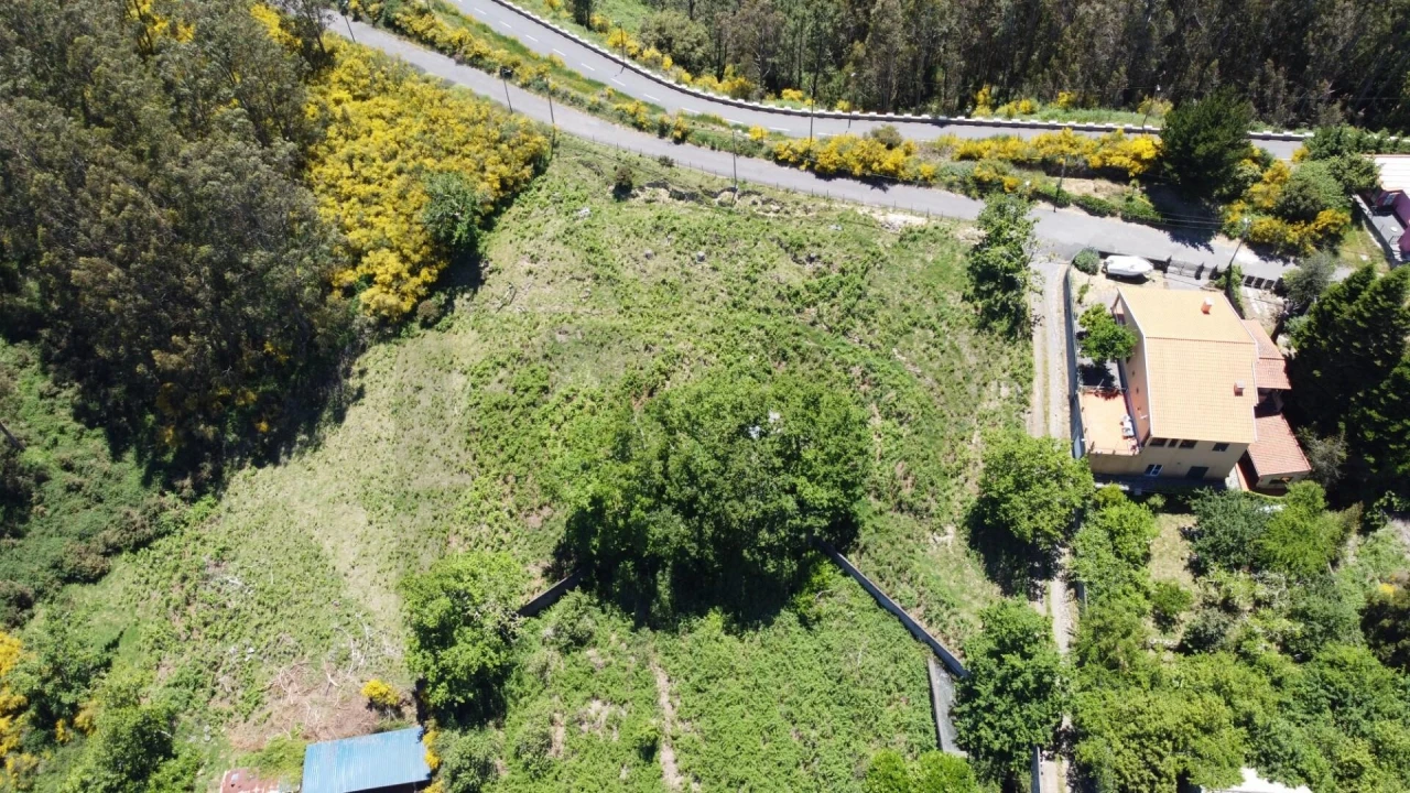 Terreno para Venda em Camacha Foto 12
