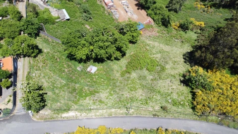 Terreno para Venda em Camacha