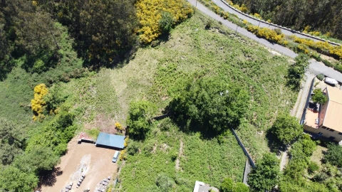 Terreno para Venda em Camacha