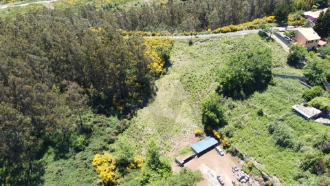 Terreno para Venda em Camacha