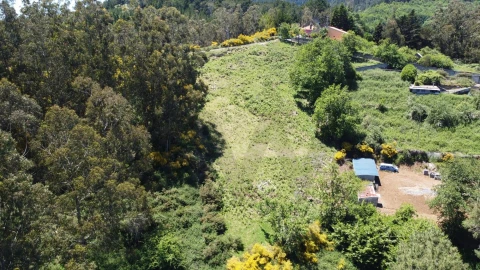 Terreno para Venda em Camacha