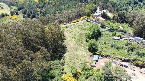 Terreno para Venda em Camacha