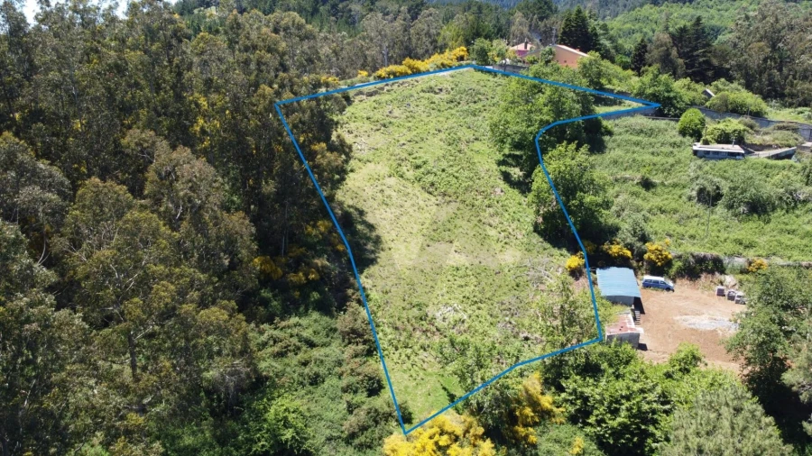 Terreno para Venda em Camacha Foto 7