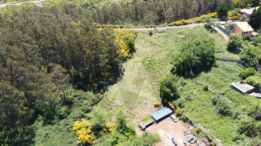 Terreno para Venda em Camacha Foto 3