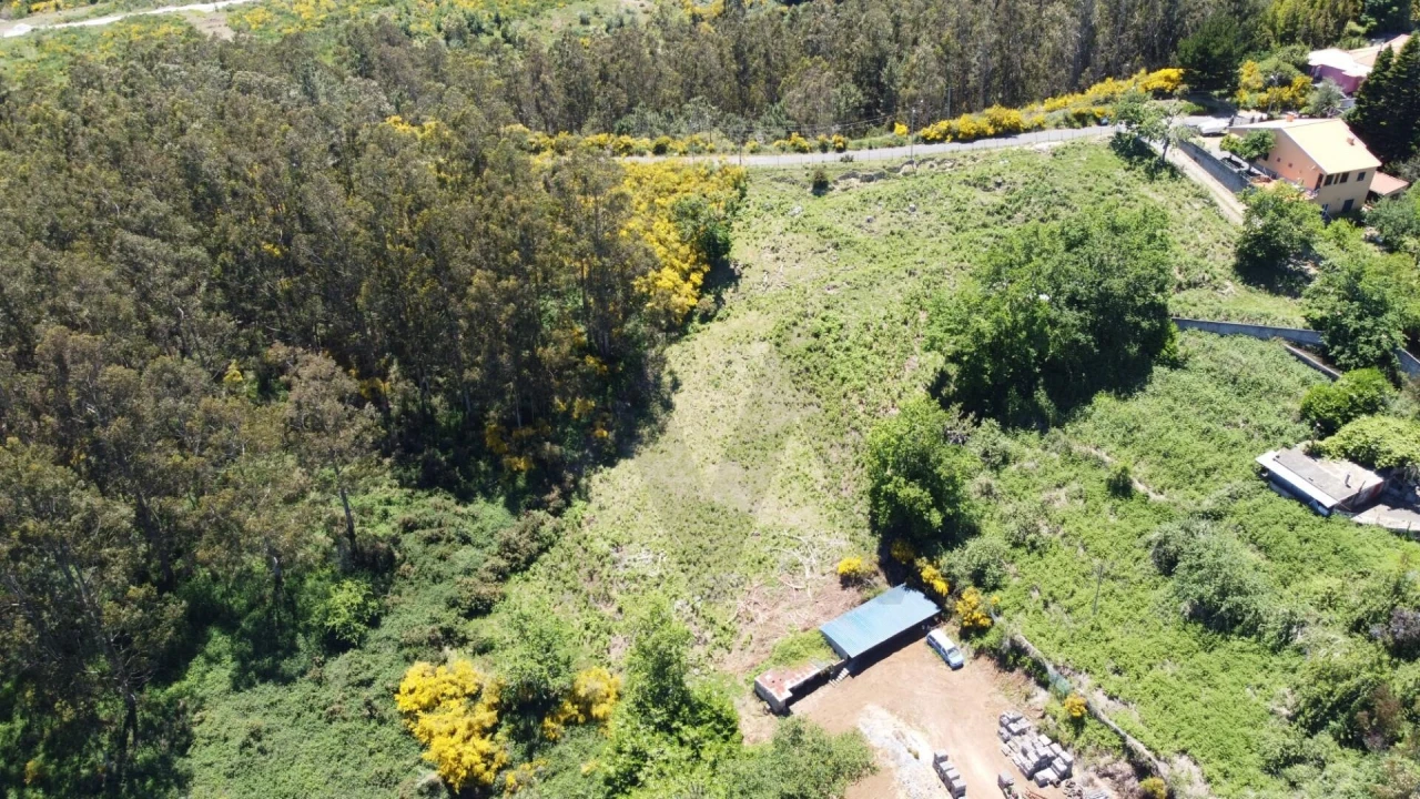 Terreno para Venda em Camacha Foto 3