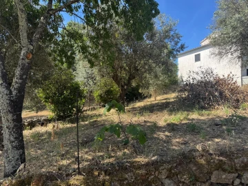 Terreno para Venda em Castelo Branco