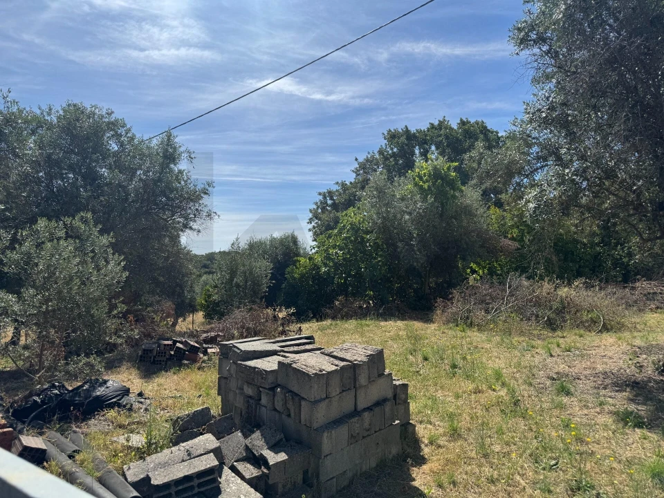 Terreno para Venda em Castelo Branco Foto 2