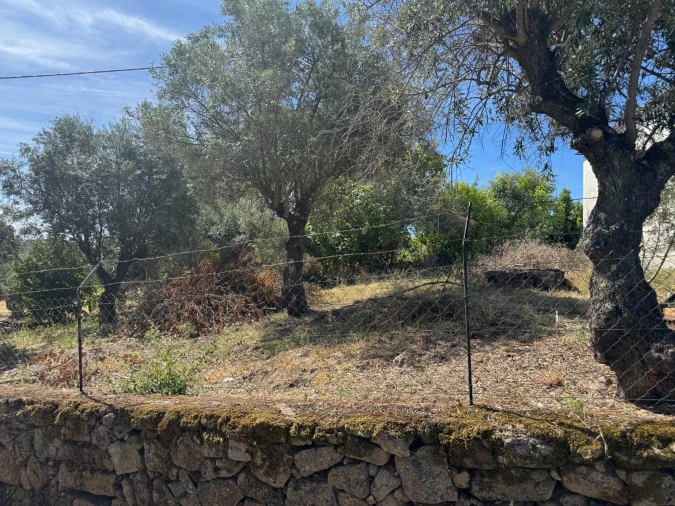 Terreno para Venda em Castelo Branco Foto 3
