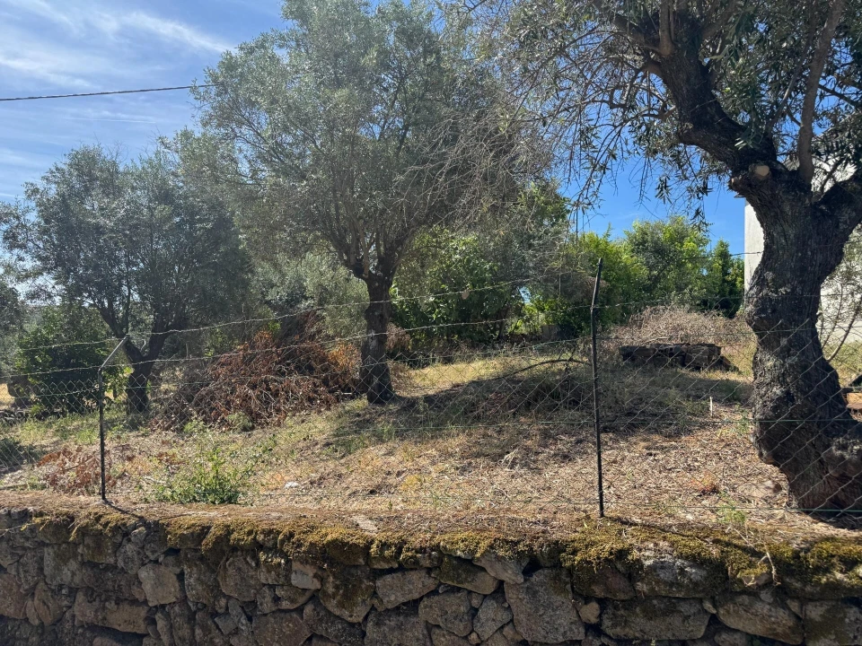 Terreno para Venda em Castelo Branco Foto 3