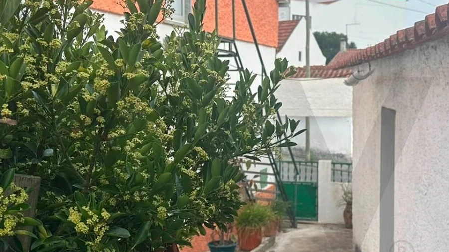 Moradia T2 para Venda em Ramalhal