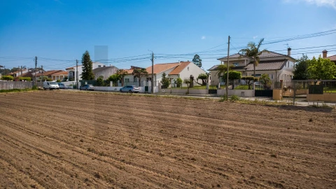 Terreno para Venda em Santa Joana