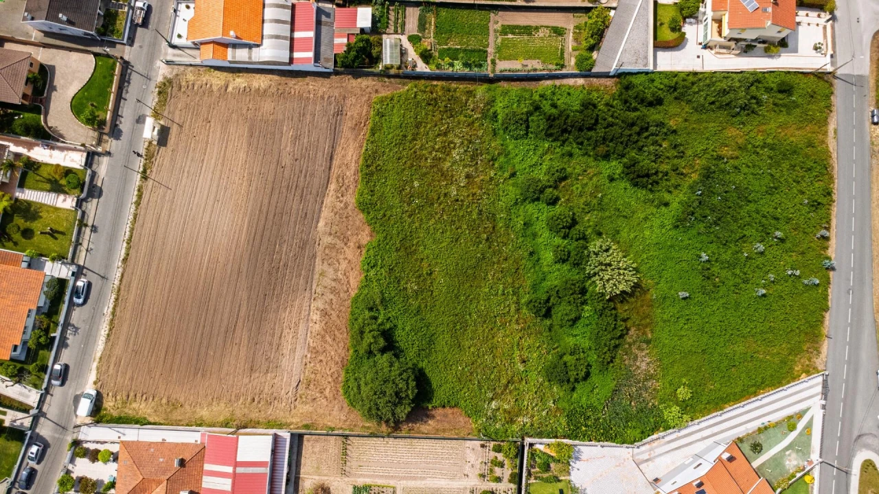 Terreno para Venda em Santa Joana Foto 4