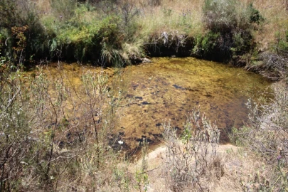 Terreno para Venda em Montalvão