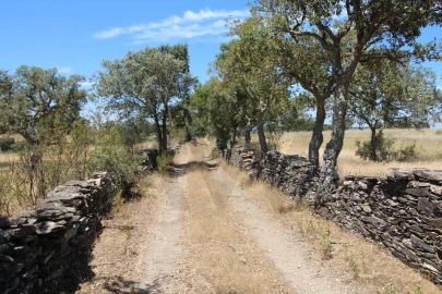 Terreno para Venda em Montalvão