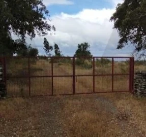 Terreno para Venda em Montalvão