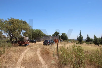 Terreno para Venda em Montalvão
