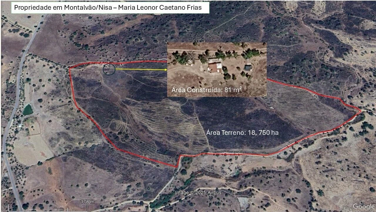 Terreno para Venda em Montalvão Foto 1