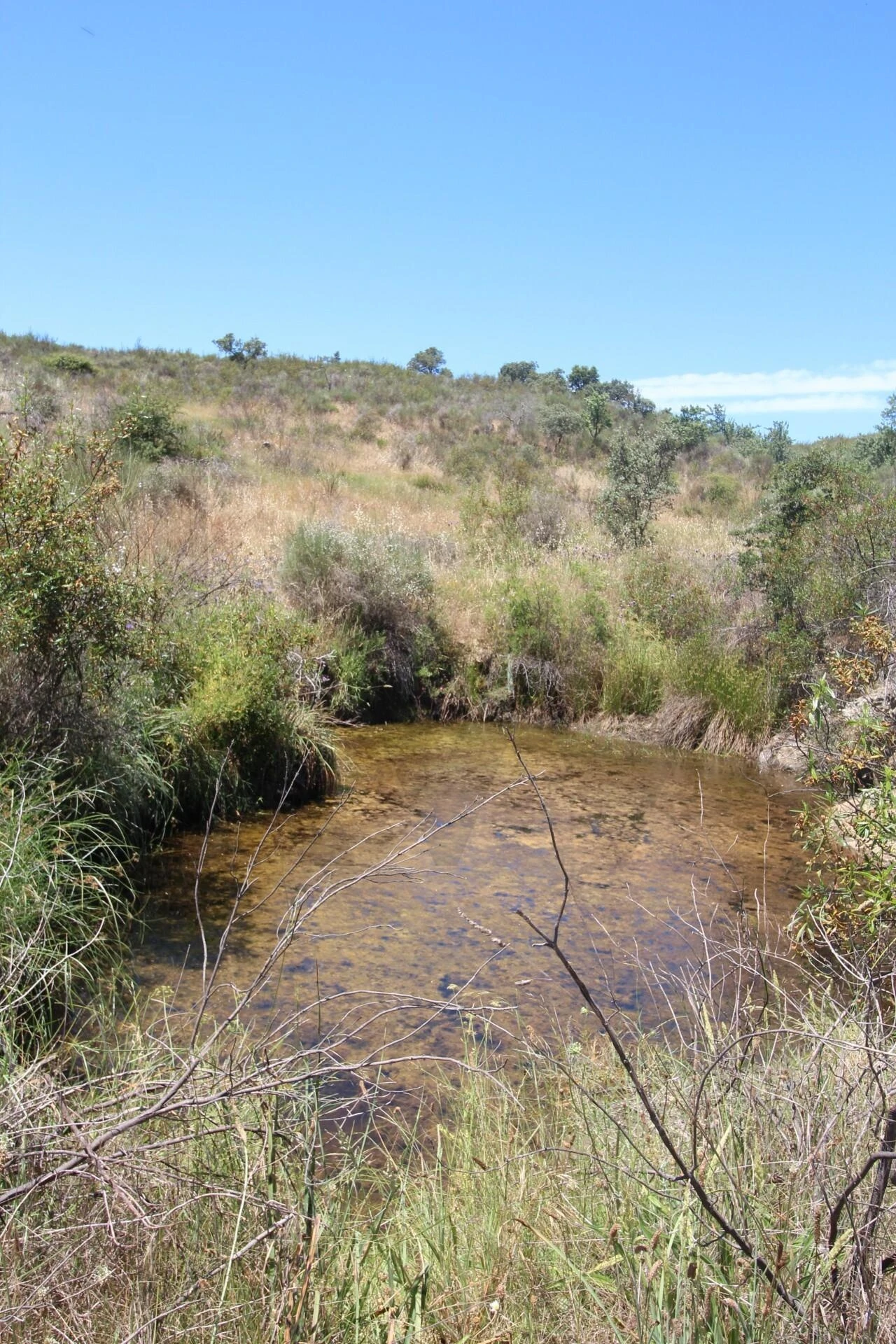 Terreno para Venda em Montalvão Foto 8