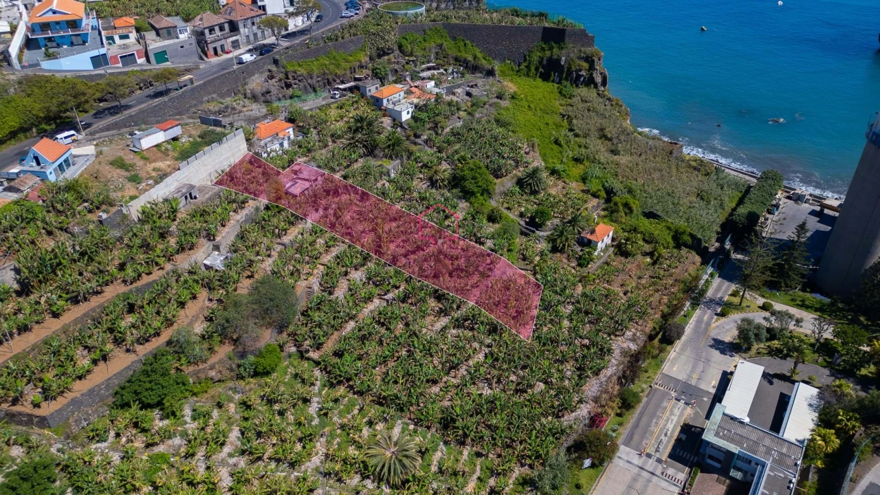 Terreno para Venda em São Martinho Foto 3