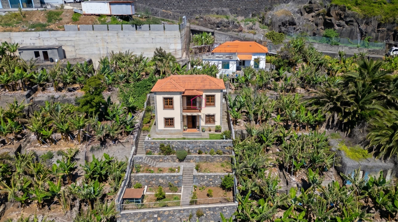 Terreno para Venda em São Martinho Foto 13