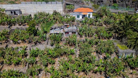 Terreno para Venda em São Martinho