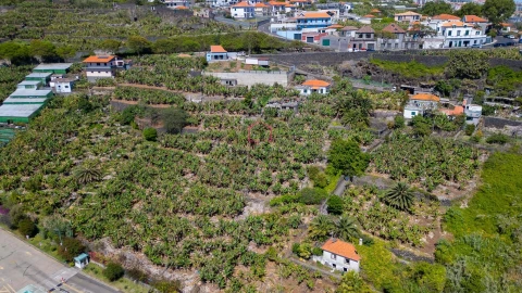 Terreno para Venda em São Martinho