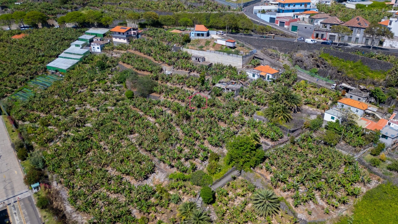 Terreno para Venda em São Martinho Foto 5