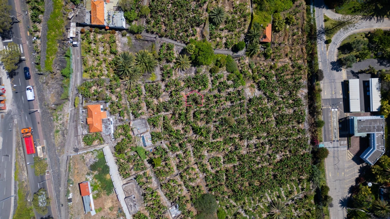 Terreno para Venda em São Martinho Foto 7