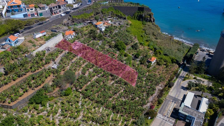 Terreno para Venda em São Martinho Foto 3