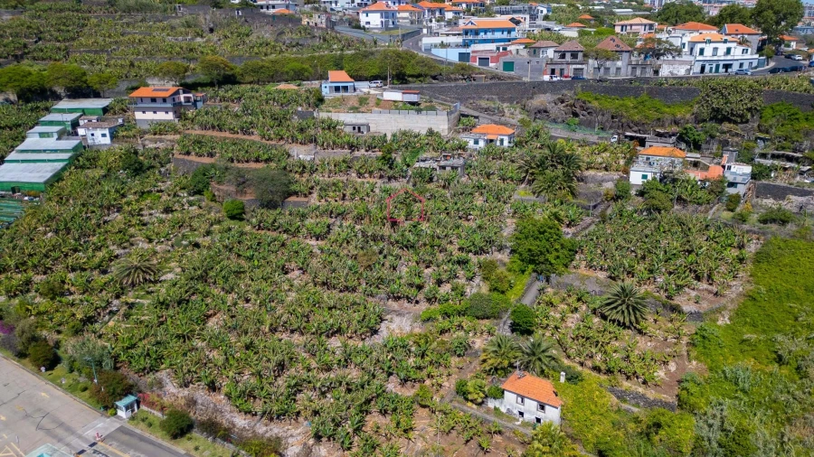 Terreno para Venda em São Martinho Foto 9