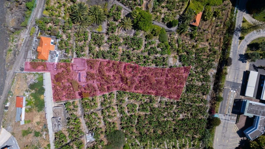 Terreno para Venda em São Martinho Foto 2