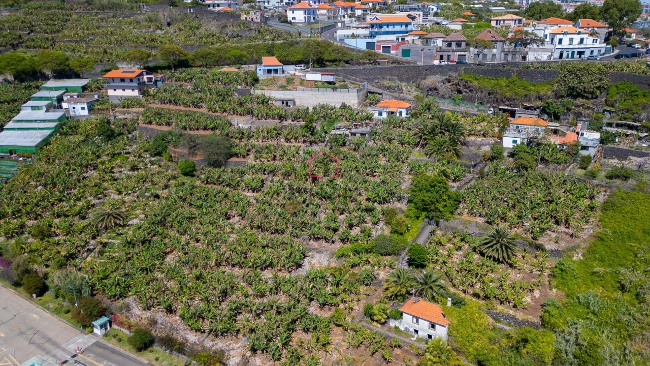 Terreno para Venda em São Martinho Foto 9
