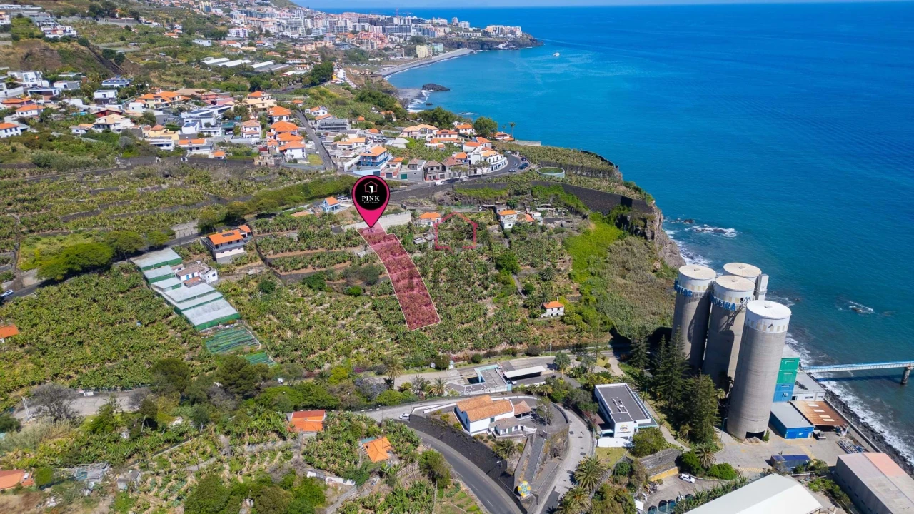Terreno para Venda em São Martinho Foto 4