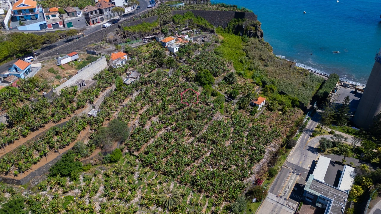 Terreno para Venda em São Martinho Foto 6
