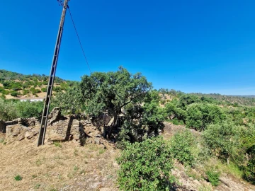 Moradia para Venda em Santa Catarina da Fonte do Bispo