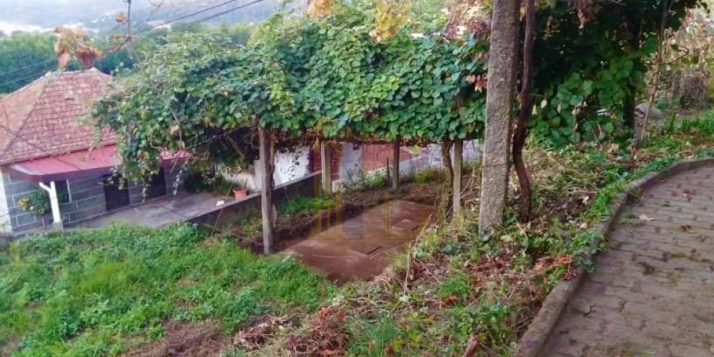 Quinta T5 para Arrendamento em Roriz Foto 14