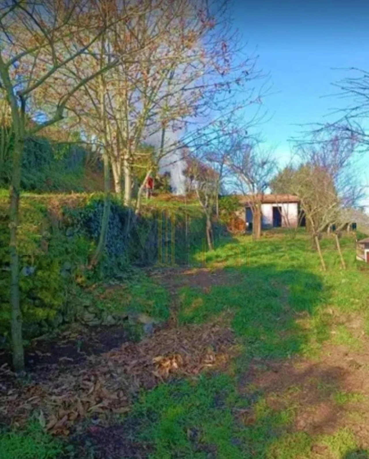 Quinta T5 para Arrendamento em Roriz Foto 9