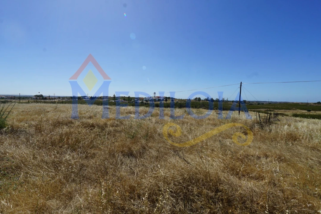 Terreno para Venda em Azinhal Foto 6