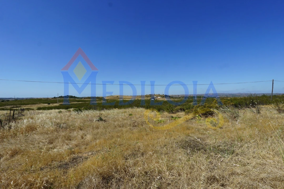 Terreno para Venda em Azinhal Foto 2