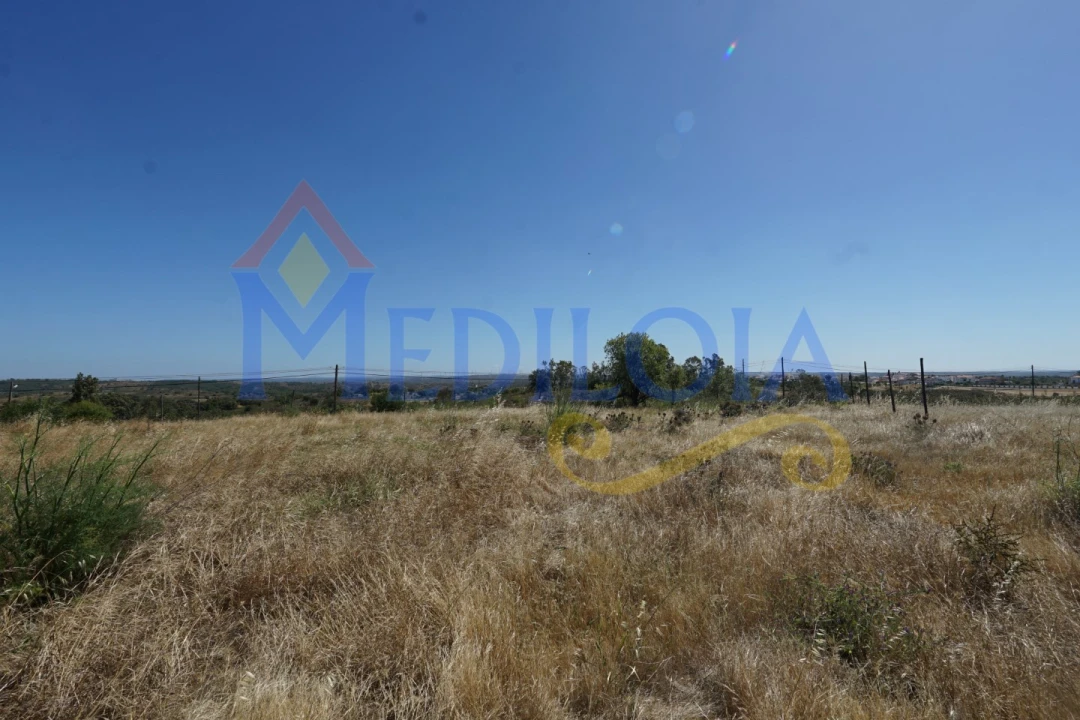 Terreno para Venda em Azinhal Foto 7