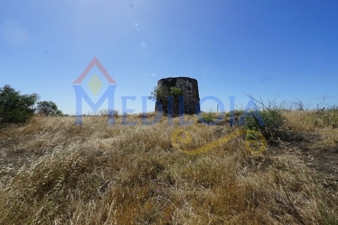 Terreno para Venda em Azinhal Foto 1