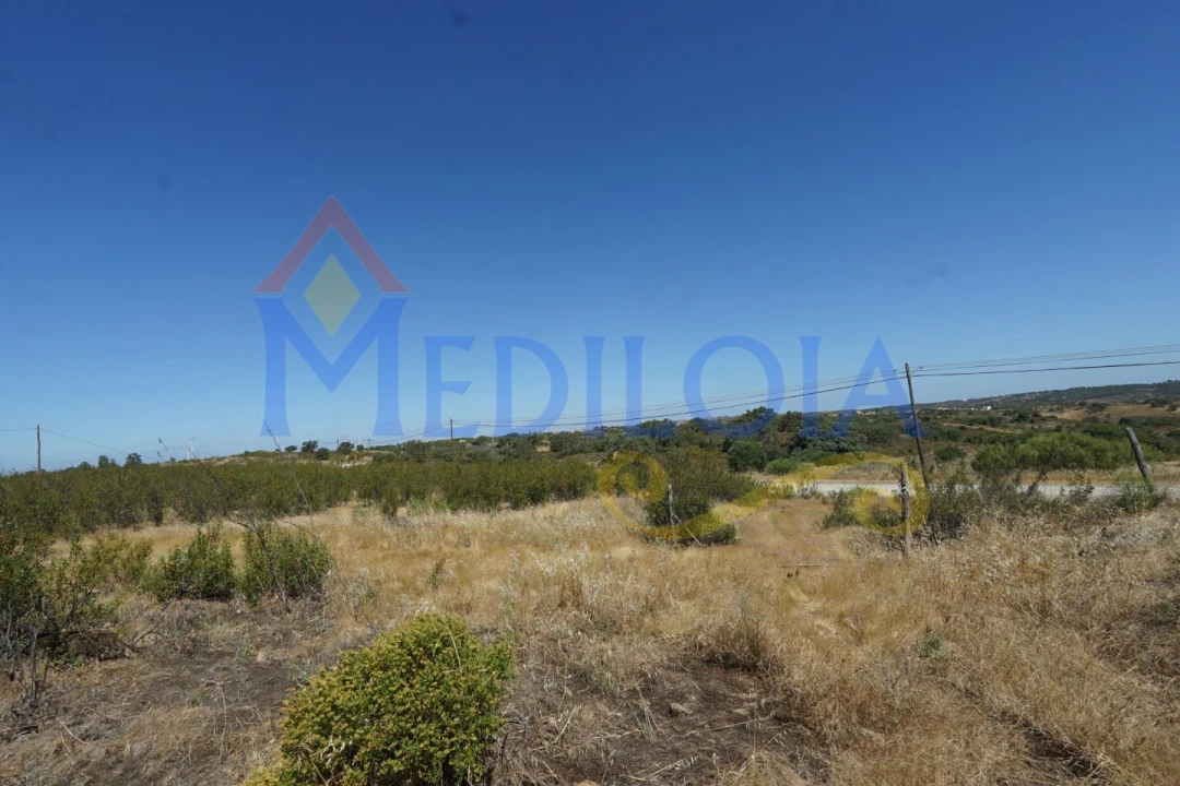 Terreno para Venda em Azinhal Foto 3