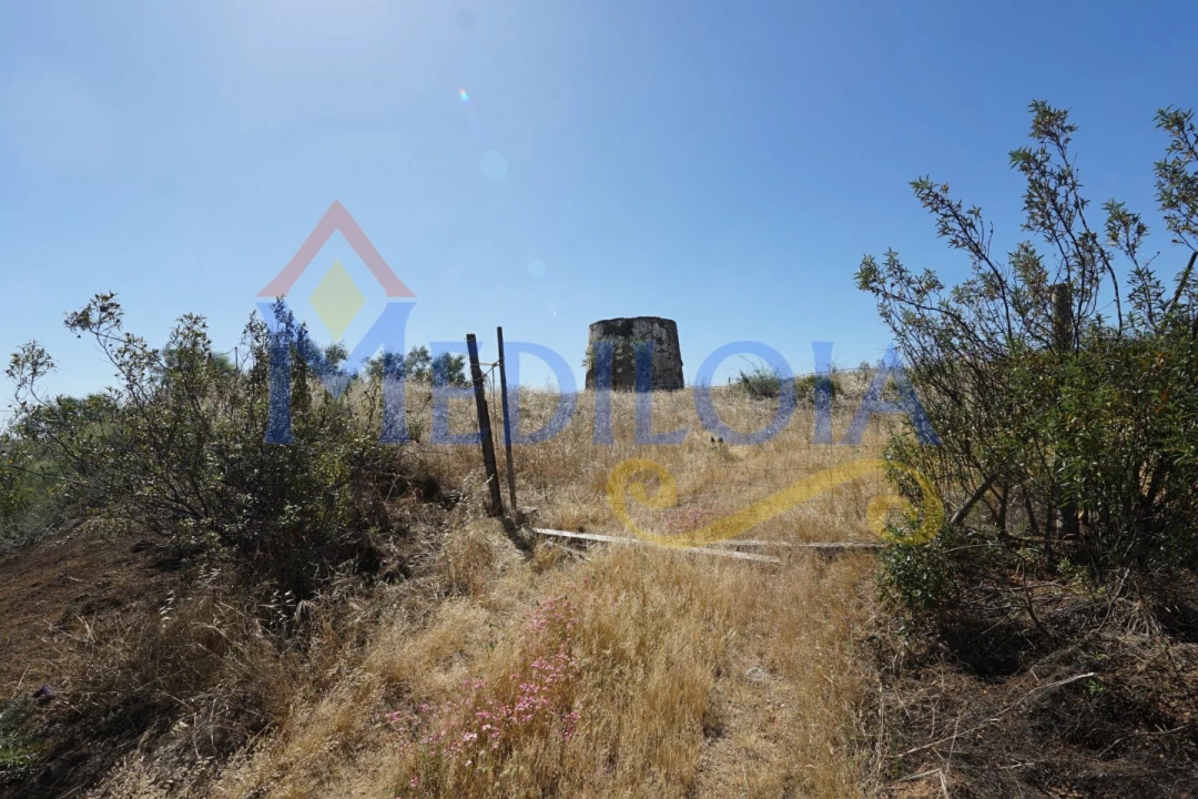 Terreno para Venda em Azinhal Foto 9