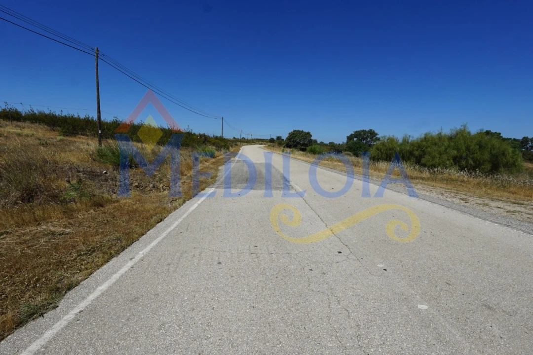 Terreno para Venda em Azinhal Foto 10