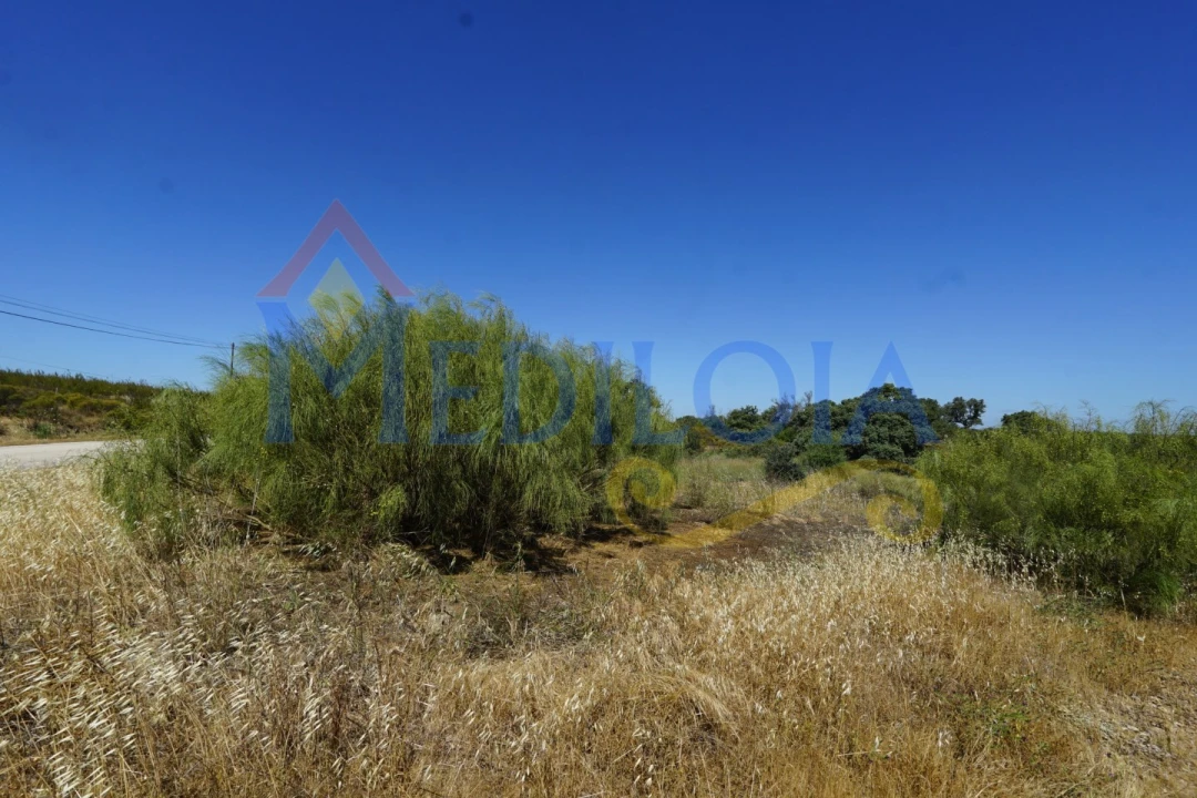 Terreno para Venda em Azinhal Foto 11