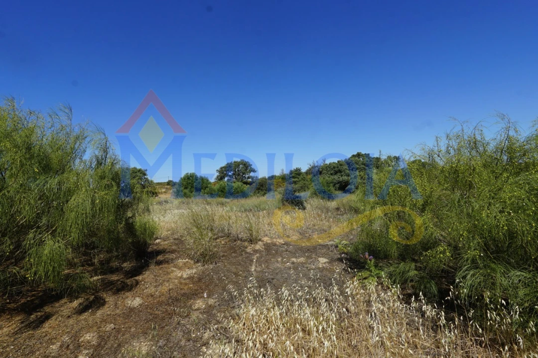 Terreno para Venda em Azinhal Foto 12