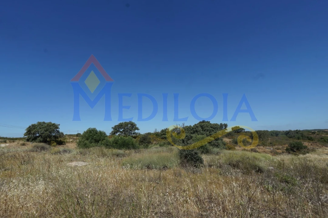 Terreno para Venda em Azinhal Foto 13